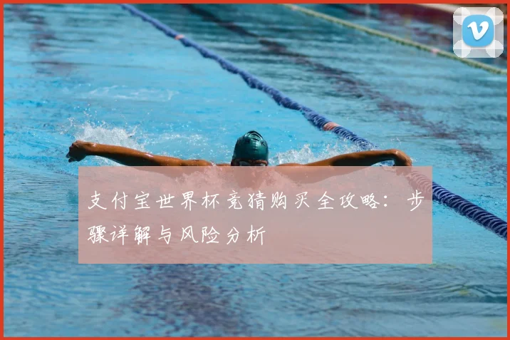 支付宝世界杯竞猜购买全攻略:步骤详解与风险分析