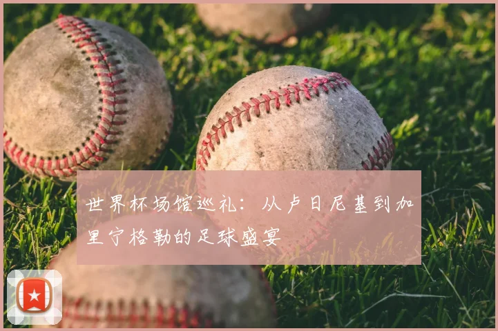 世界杯场馆巡礼:从卢日尼基到加里宁格勒的足球盛宴
