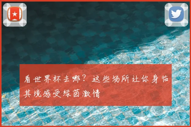 看世界杯去哪？这些场所让你身临其境感受绿茵激情