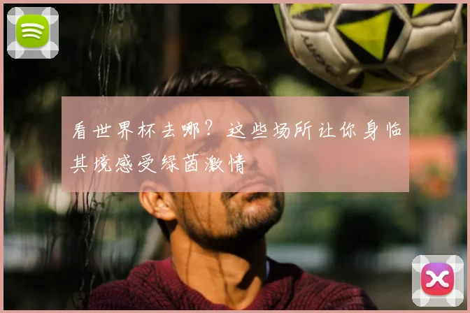 看世界杯去哪？这些场所让你身临其境感受绿茵激情