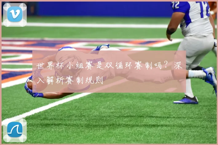 世界杯小组赛是双循环赛制吗？深入解析赛制规则
