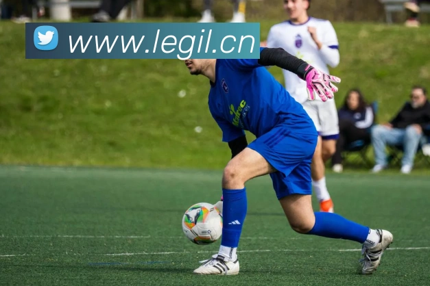 九游j9官方主页平台生态图